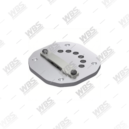 Valve Plate
