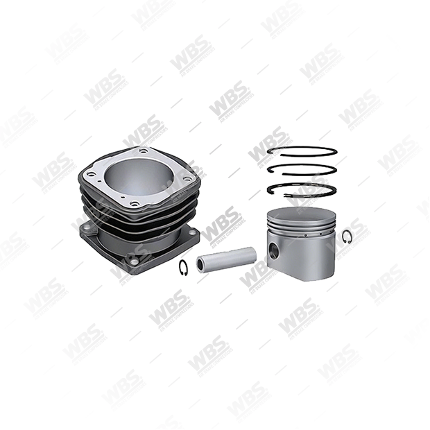 CK.101.3000 Cylinder Liner Set - Image 1