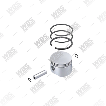 Piston & Rings