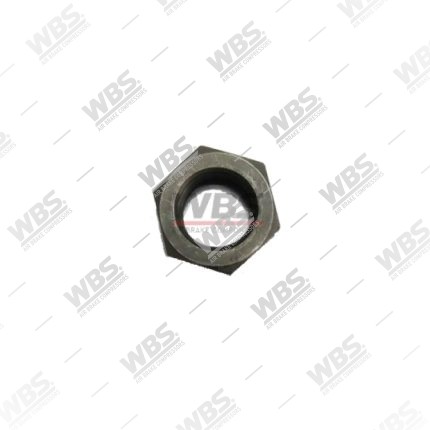 CRANKSHAFT NUT